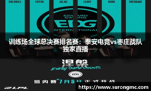 bsports官网入口